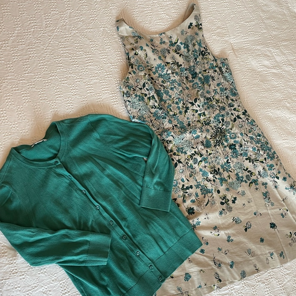 Ann Taylor Loft Dress